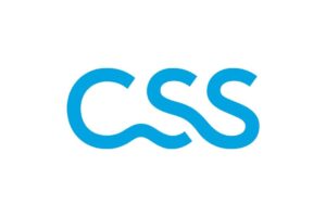 CSS Logo